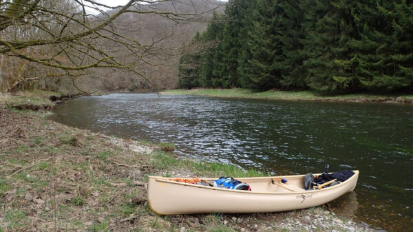 Canoe Esquif Echo bois – Image 5